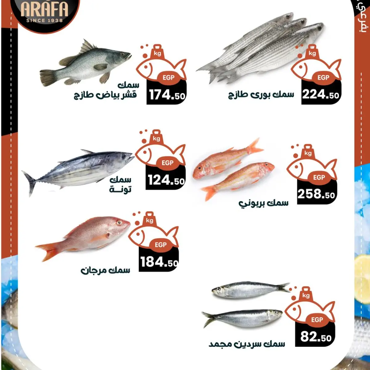 عروض عرفة ماركت مصر من 25 حتى 26 فبراير 2026 عروض حلقة الأسماك - صفحة 4