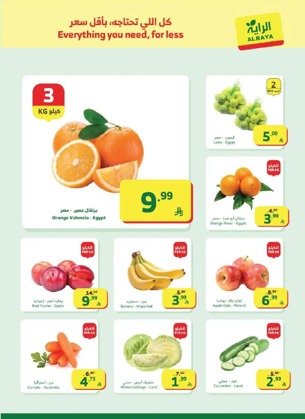 Al Rayah Market Saudi Arabia Offers from 25 February to 3 March 2026 Ramadan Offers - Page 28