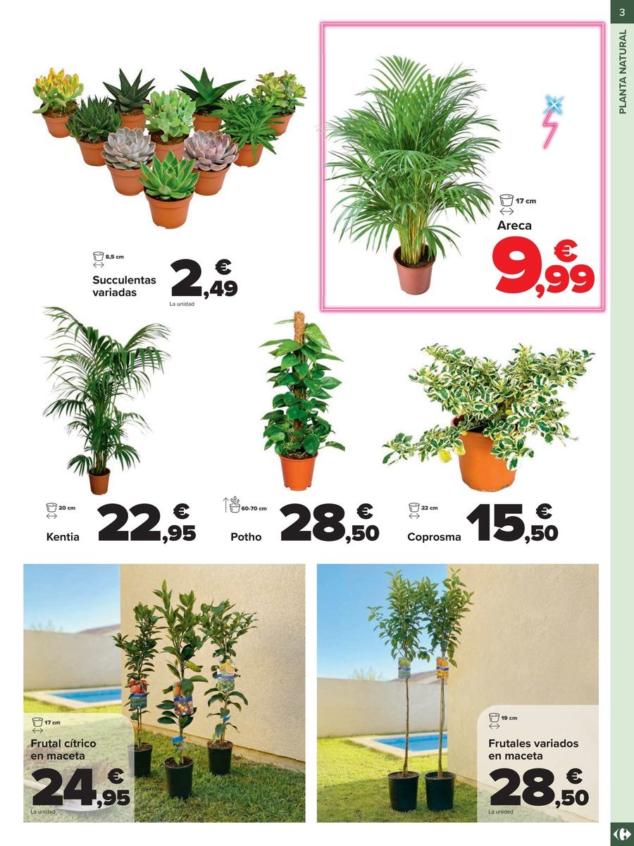 Ofertas de Carrefour España de 19 febrero a 12 marzo 2026 Ofertas Jardín