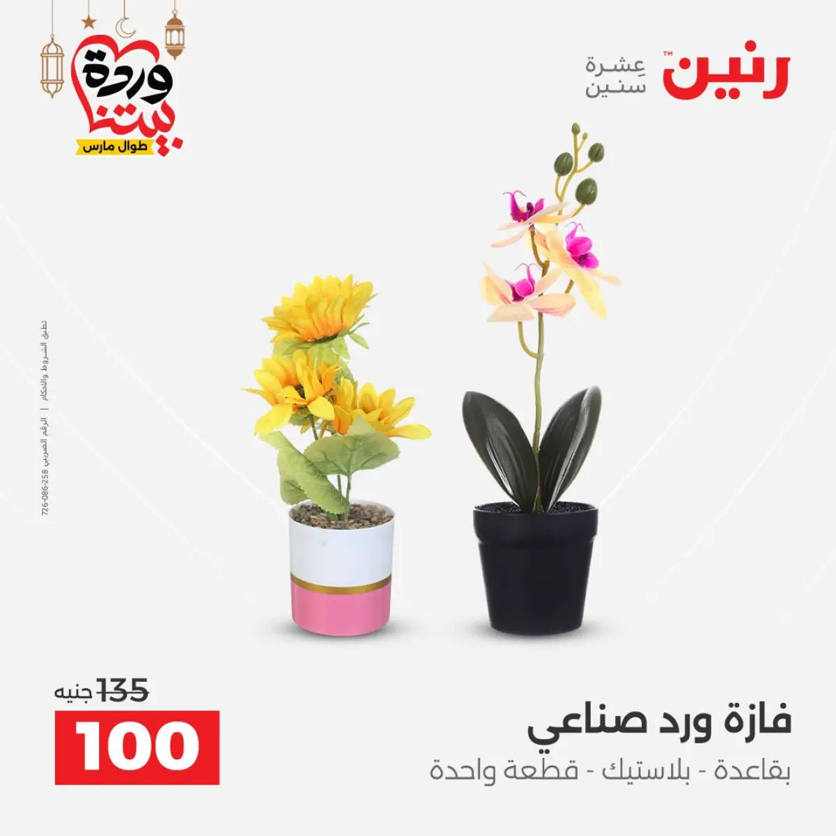 Ofertas de Raneen Egipto de 3 a 4 marzo 2026 Ofertas de Regalos y Decoraciones - Pagina 45