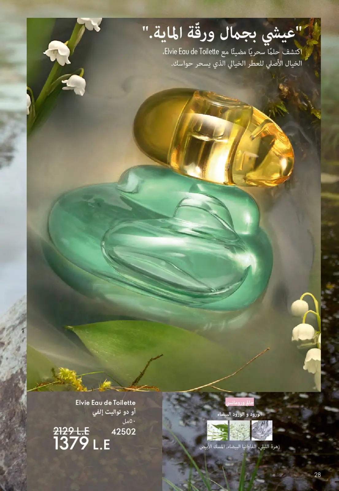 عروض اوريفليم مصر من 1 حتى 31 مارس 2026 كتالوج شهر مارس - صفحة 29