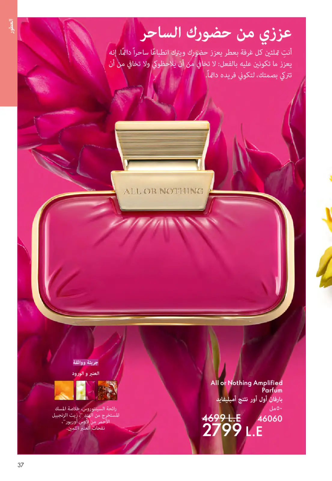 عروض اوريفليم مصر من 1 حتى 31 مارس 2026 كتالوج شهر مارس - صفحة 36