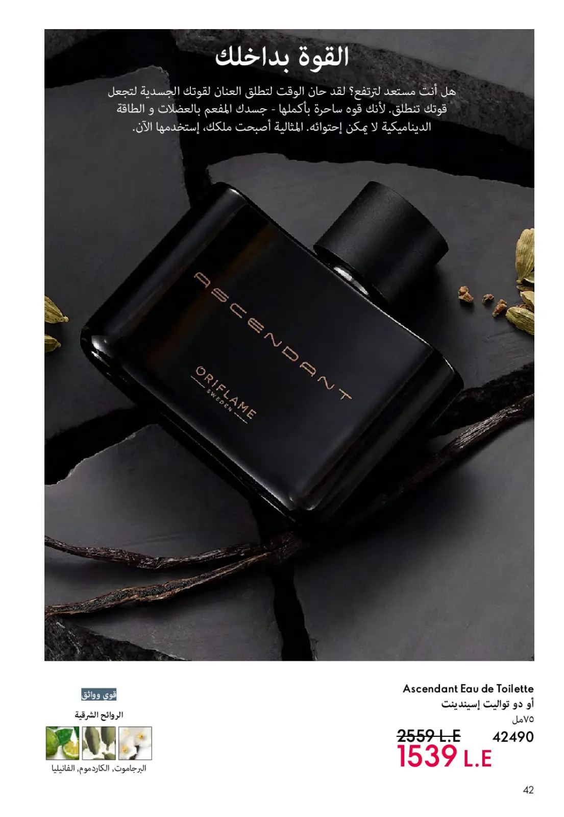 عروض اوريفليم مصر من 1 حتى 31 مارس 2026 كتالوج شهر مارس - صفحة 43