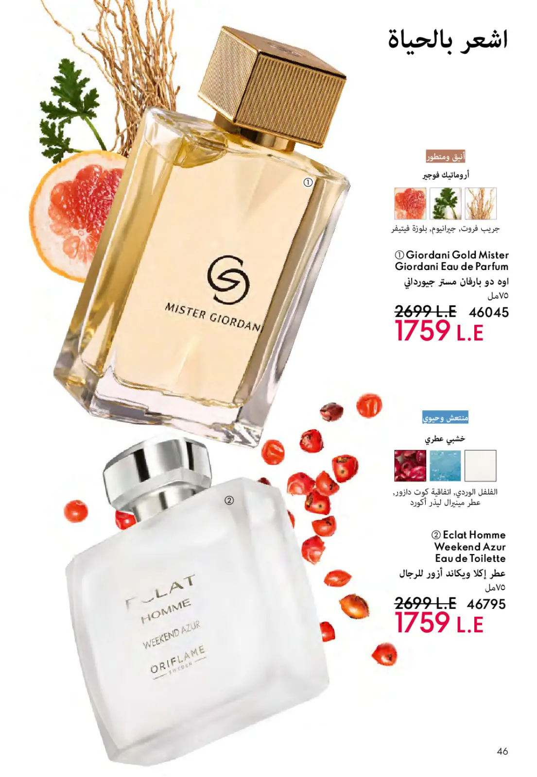 عروض اوريفليم مصر من 1 حتى 31 مارس 2026 كتالوج شهر مارس - صفحة 47