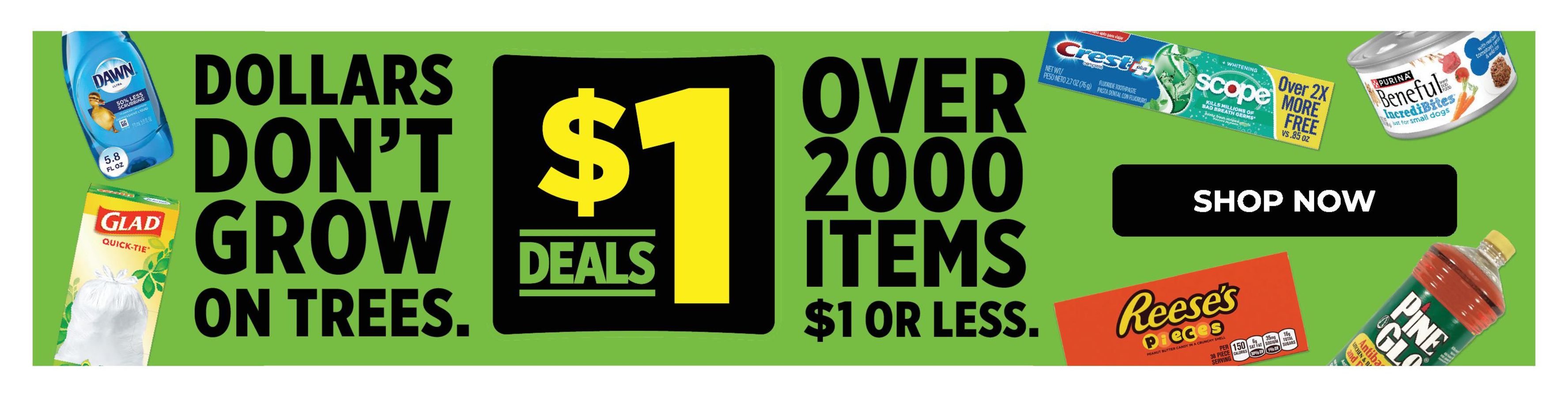 Dollar General USA offers from 8 March to 14 March 2026 Great offer for bargain hunters