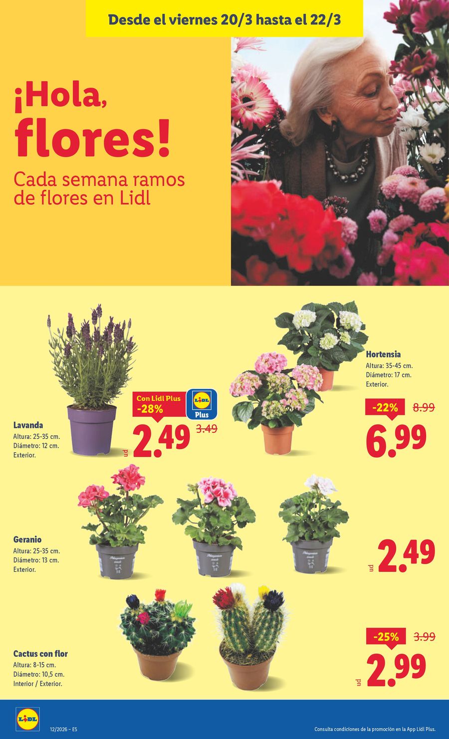 Ofertas de Lidl España de 16 a 22 marzo 2026 ofertas semanales