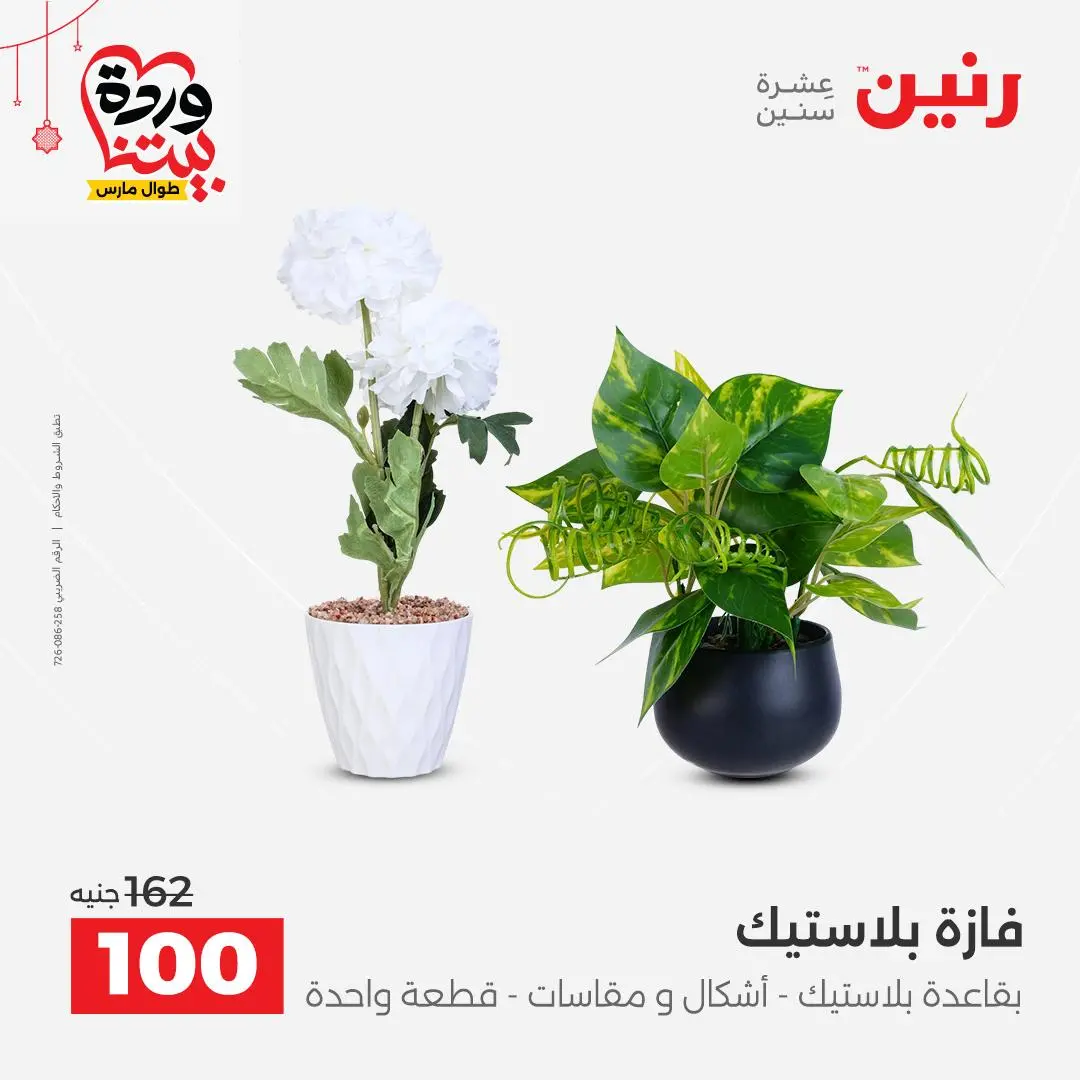 Ofertas de Raneen Egipto de 22 a 25 marzo 2026 Ofertas de Regalos y Decoraciones