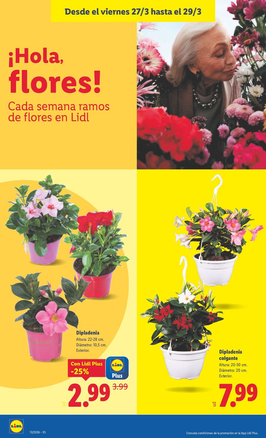 Lidl Spain offers from 23 to 29 March 2026 Weekly offers