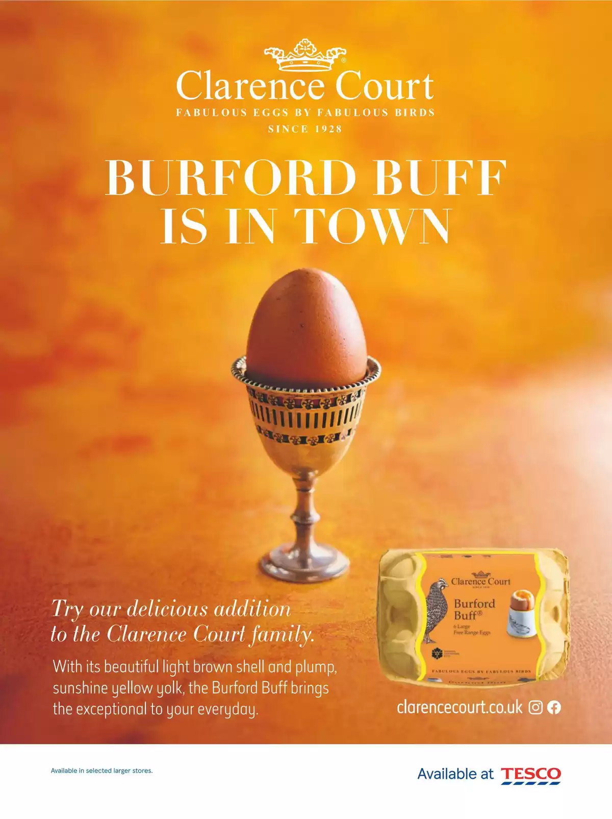 عروض تيسكو المملكة المتحدة من ١ حتى ٣١ مارس ٢٠٢٦ العروض الأسبوعية - تيسكو - المملكة المتحدة - 1 مارس 2026 – 31 مارس 2026 - صفحة 17