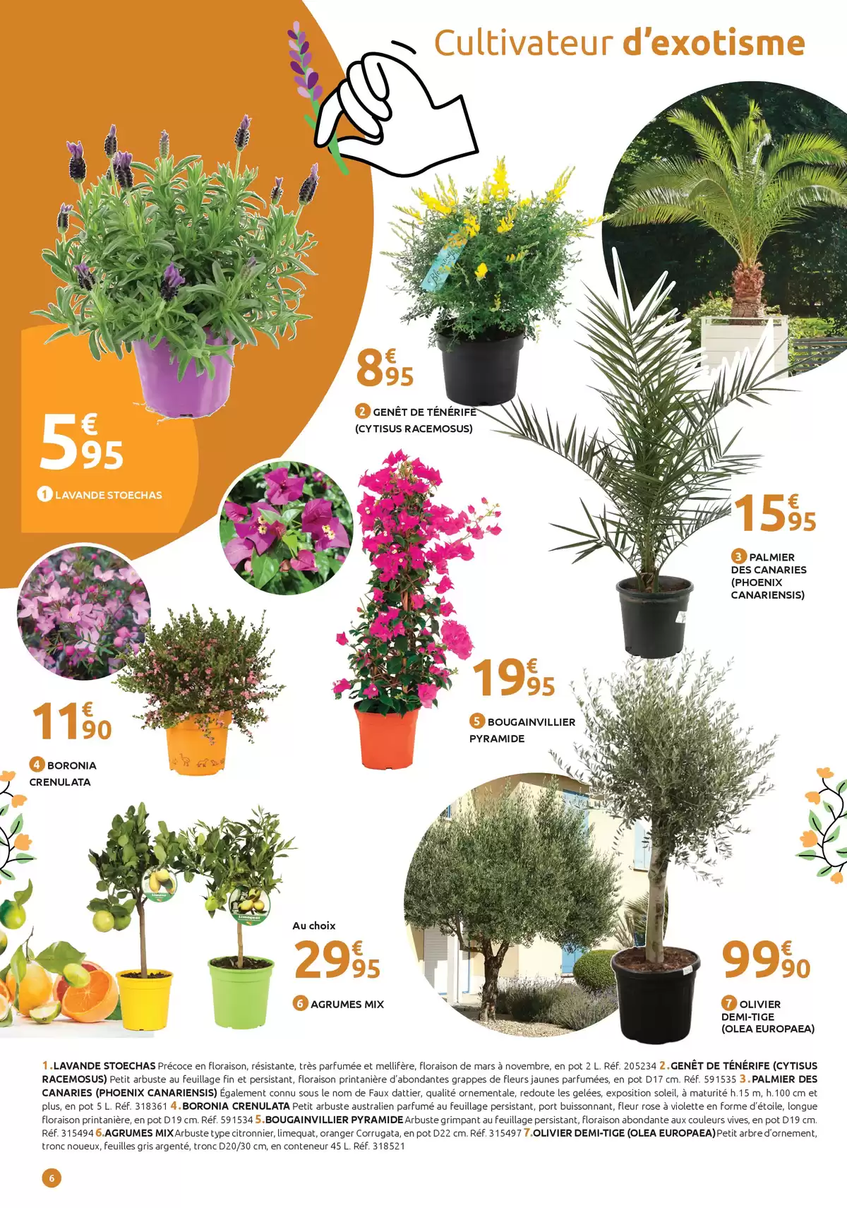 Offres Mr.Bricolage France de 19 mars à 5 avril 2026 SPÉCIAL RÉVEIL DU JARDIN