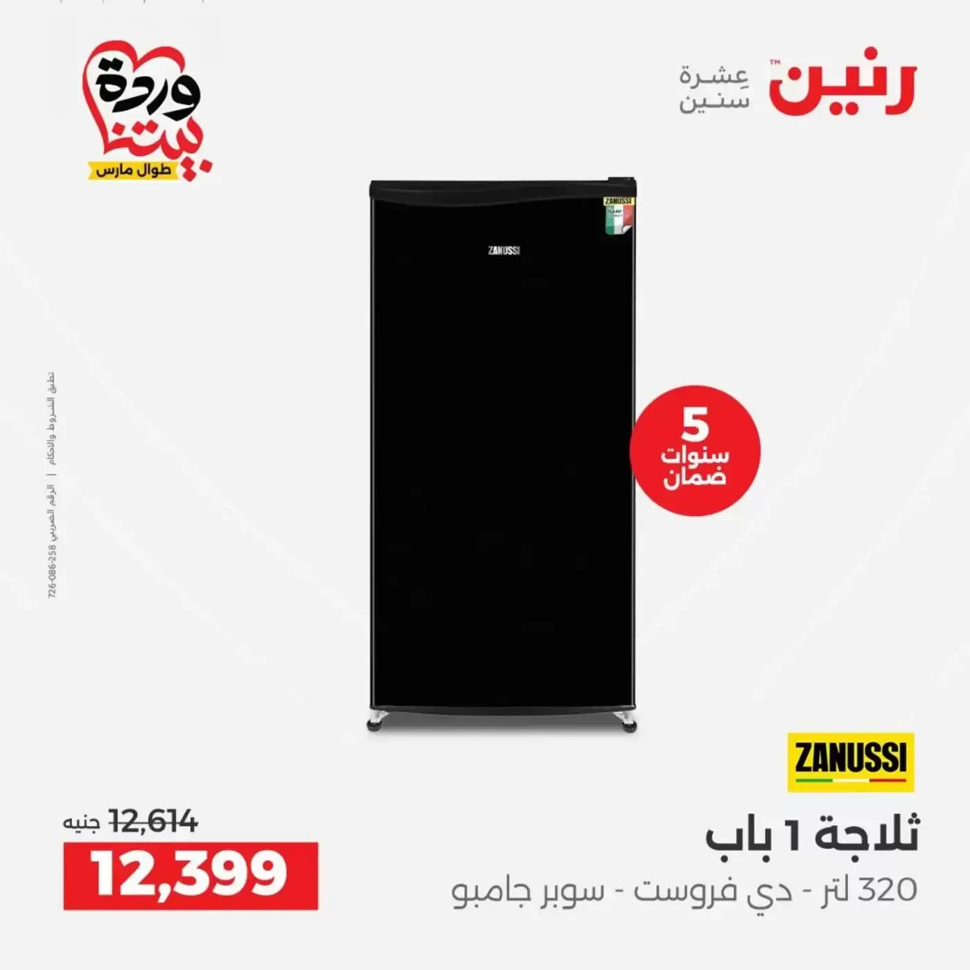 Raneen offers from 29 to 31 March 2026 Electrical appliances offers
