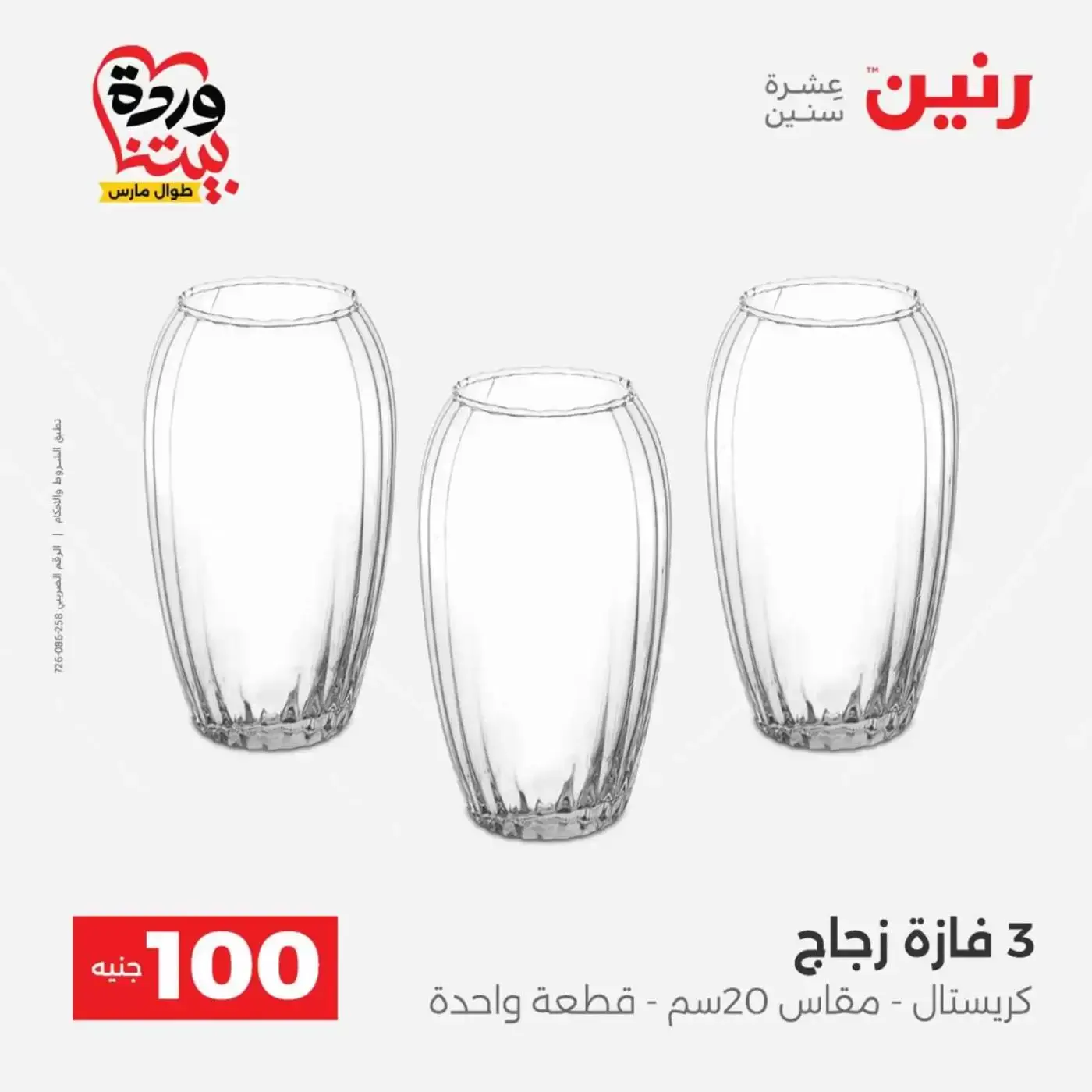 Raneen offers from 31 March to 1 April 2026 The 100 EGP Offer