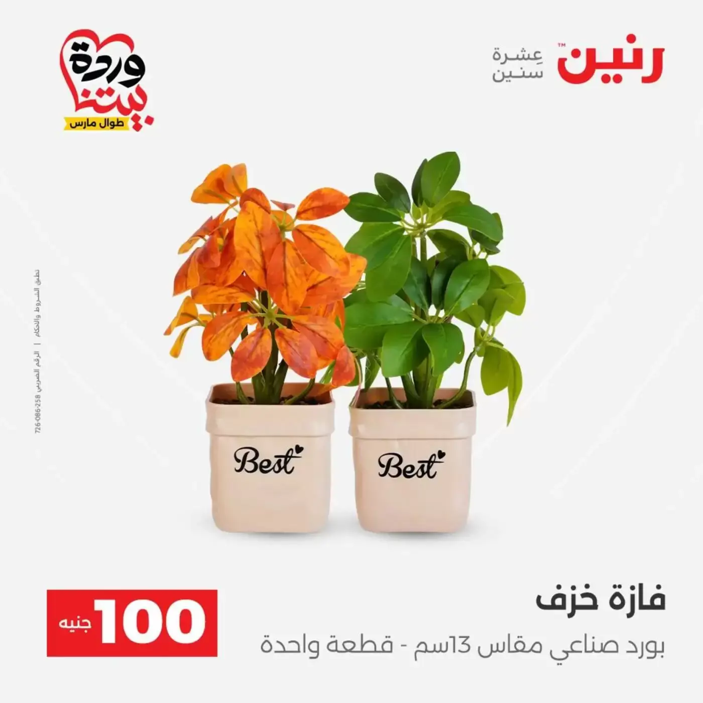 Raneen offers from 31 March to 1 April 2026 The 100 EGP Offer