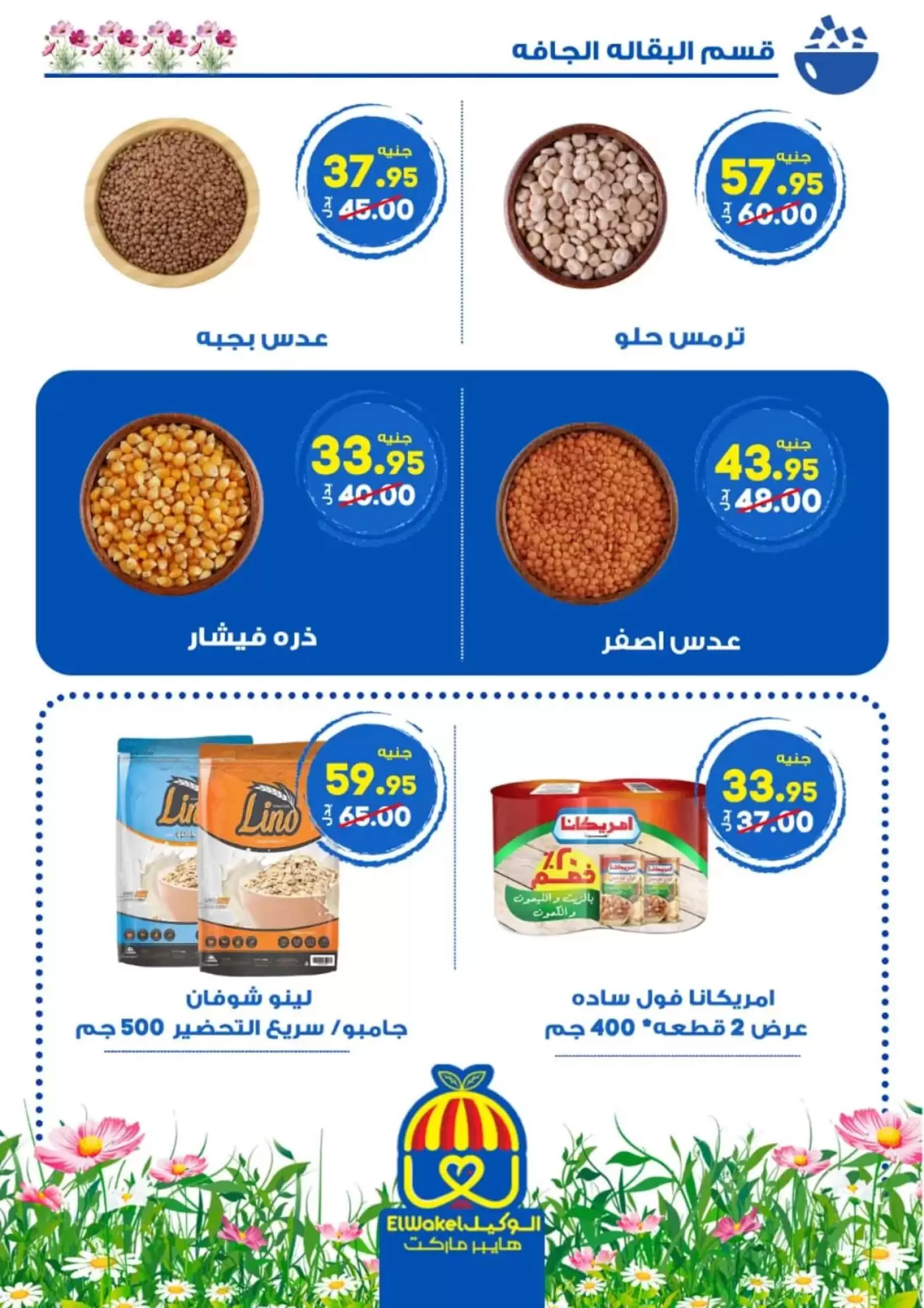 عروض هايبر الوكيل مصر المنوفية من ٢ حتى ١٥ أبريل ٢٠٢٦ عروض الربيع - هايبر الوكيل - مصر - 2 ابريل 2026 – 15 ابريل 2026 - صفحة 14
