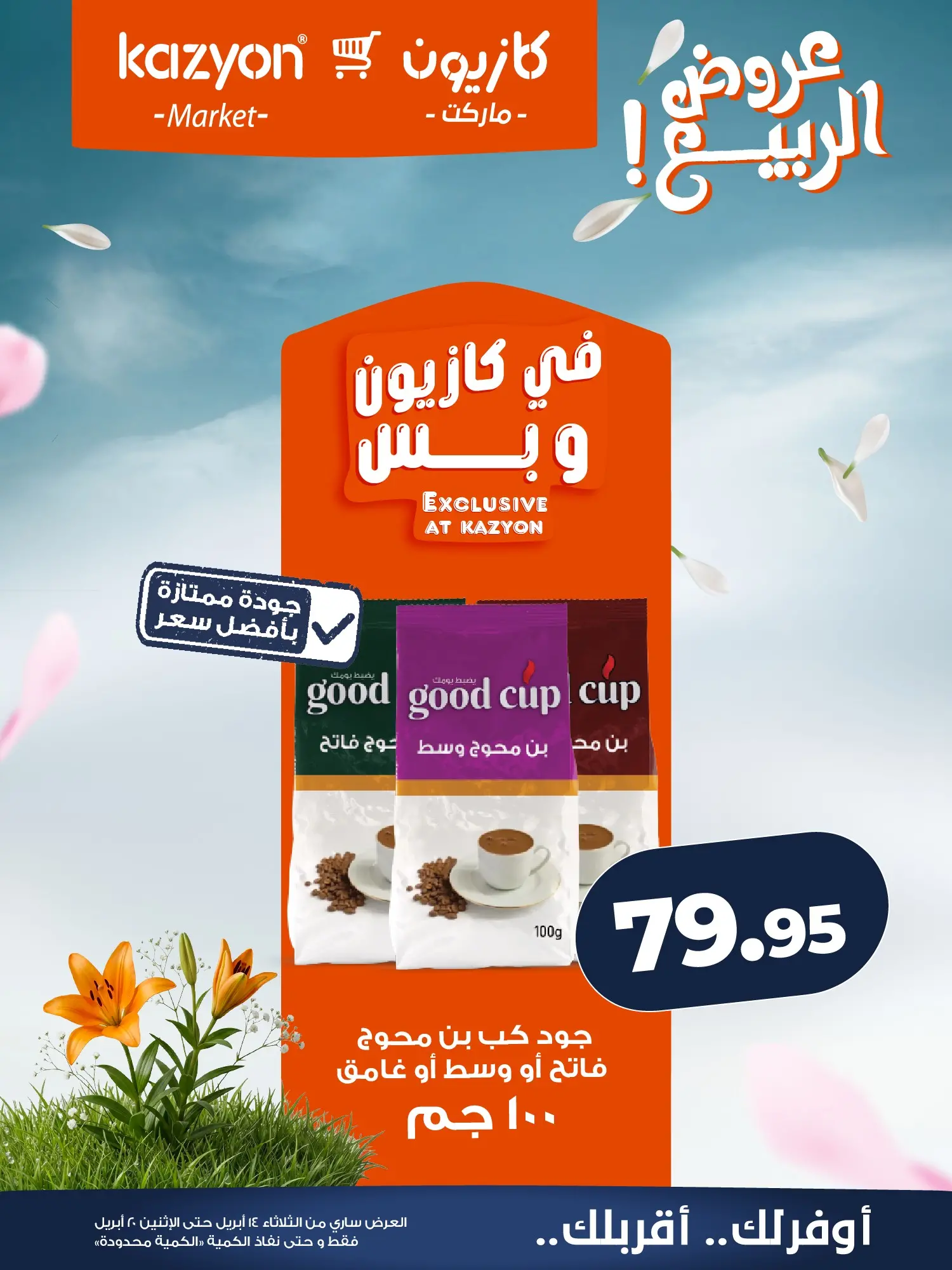 عروض كازيون ماركت مصر من ١٤ حتى ٢٠ أبريل ٢٠٢٦ عروض الربيع - كازيون ماركت - مصر - 14 ابريل 2026 – 20 ابريل 2026 - صفحة 17