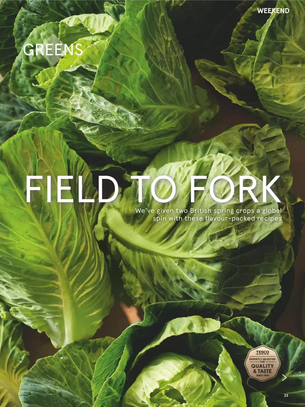 عروض تيسكو المملكة المتحدة من ١ حتى ٣٠ أبريل ٢٠٢٦ العروض الأسبوعية - تيسكو - المملكة المتحدة - 1 ابريل 2026 – 30 ابريل 2026 - صفحة 23