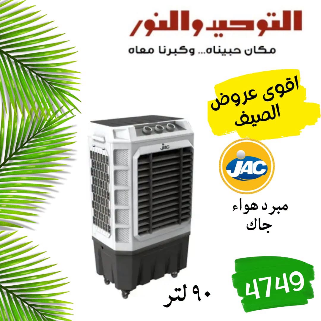 SUMMER SAVINGS at Al Tawheed Welnour, from 18 to 24 April 2026 - Al Tawheed Welnour - Egypt - 18 April 2026 – 24 April 2026 - Page 8