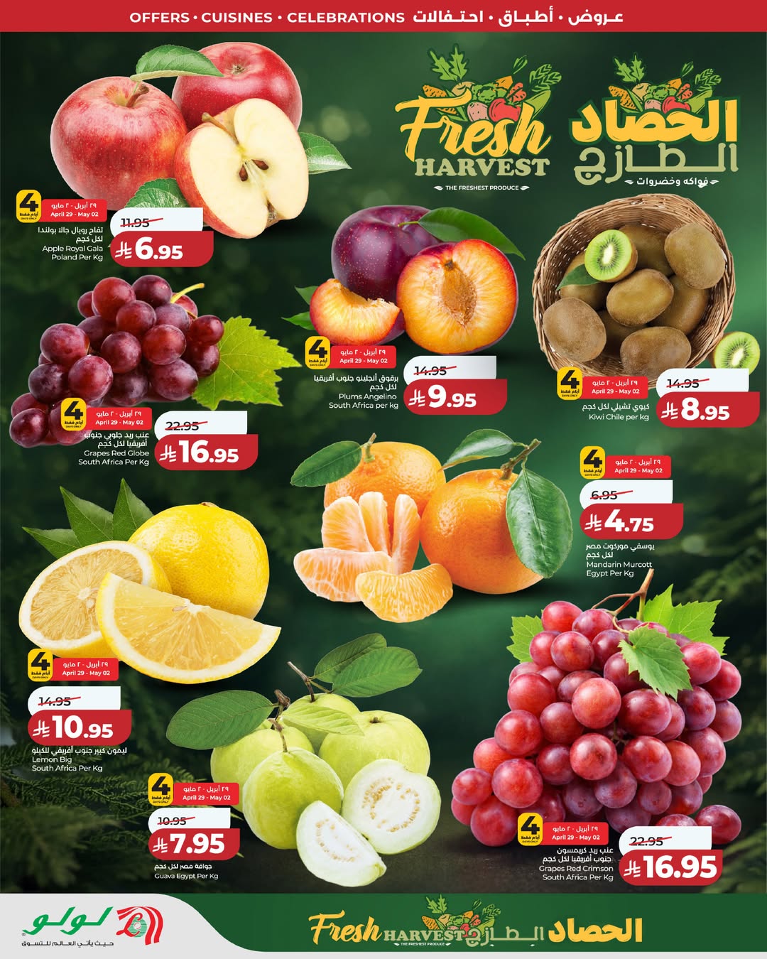 عروض لولو بفرع المنطقة الوسطى من ١٢ حتى ١٨ ذو القعدة ١٤٤٧ هـ (٢٩ أبريل إلى ٥ مايو ٢٠٢٦) عروض عالم المأكولات - لولو - السعودية - 29 ابريل 2026 – 5 مايو 2026 - صفحة 2