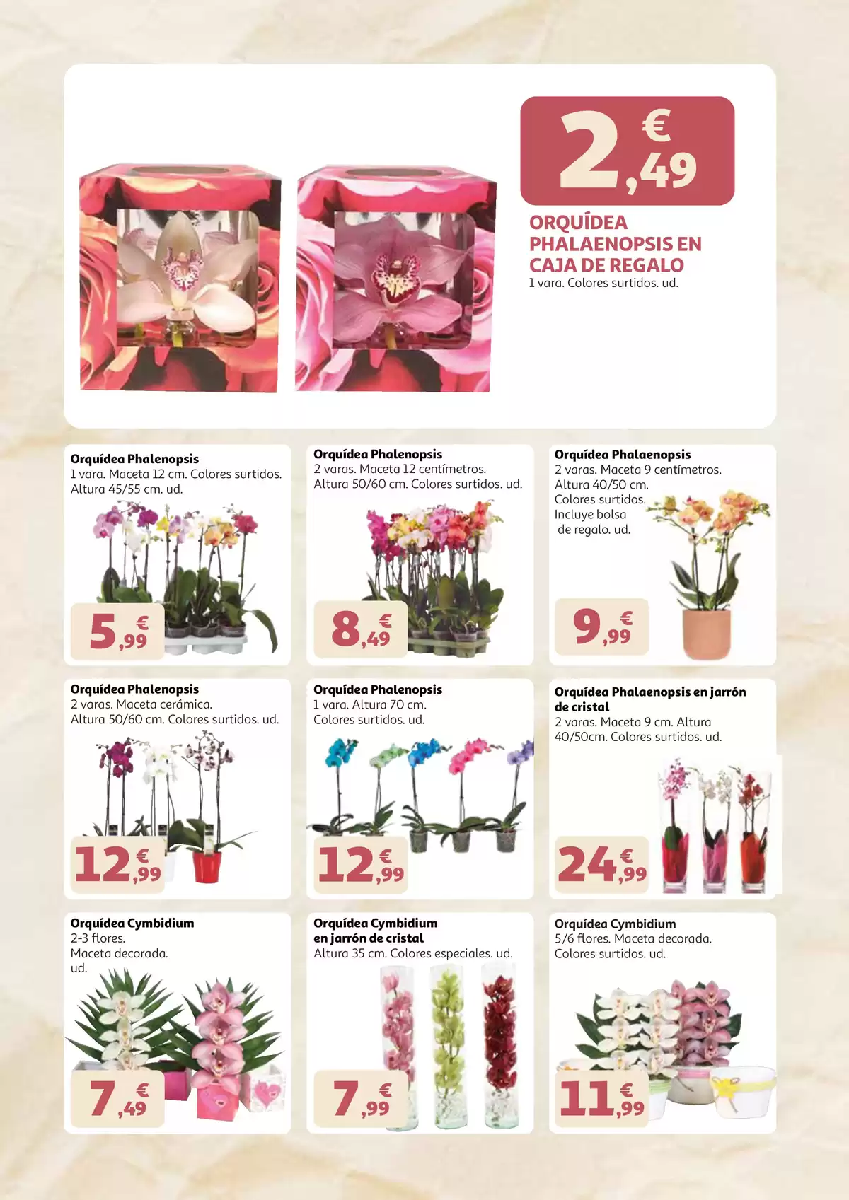 Offres Alcampo Hypermarchés Espagne de 22 avril à 3 mai 2026 Des mères qui méritent tout - Alcampo - Espagne - 22 avril 2026 – 3 mai 2026 - Page 2