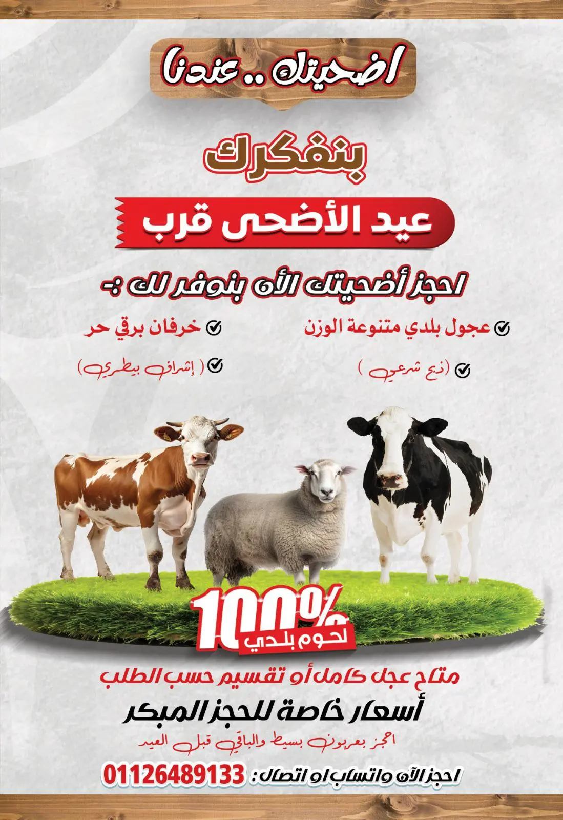 عروض نيو بيني ماركت من ٣٠ أبريل حتى ١٠ مايو ٢٠٢٦ عروض الصيف - نيو بيني ماركت - مصر - 30 ابريل 2026 – 10 مايو 2026 - صفحة 42