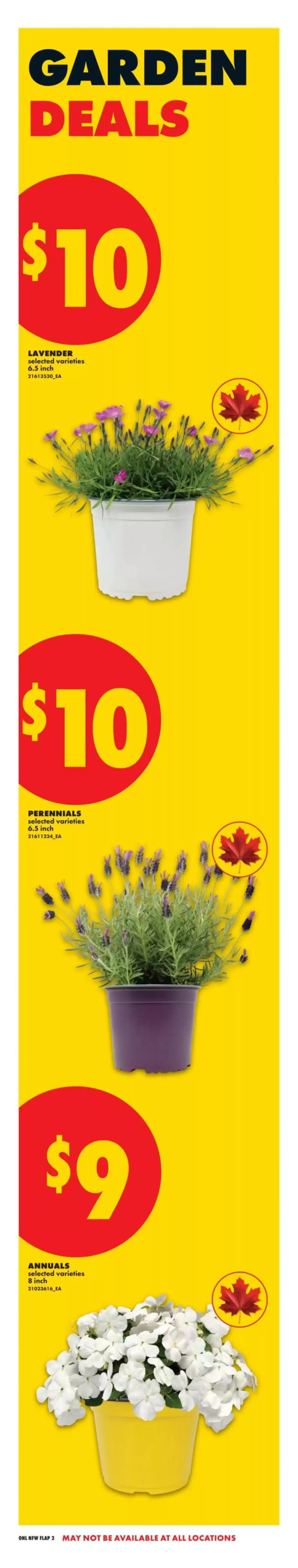 Ofertas de No Frills Canadá de 30 abril a 6 mayo 2026 mejores ofertas - No Frills - Canadá - 30 abril 2026 – 6 mayo 2026 - Página 4