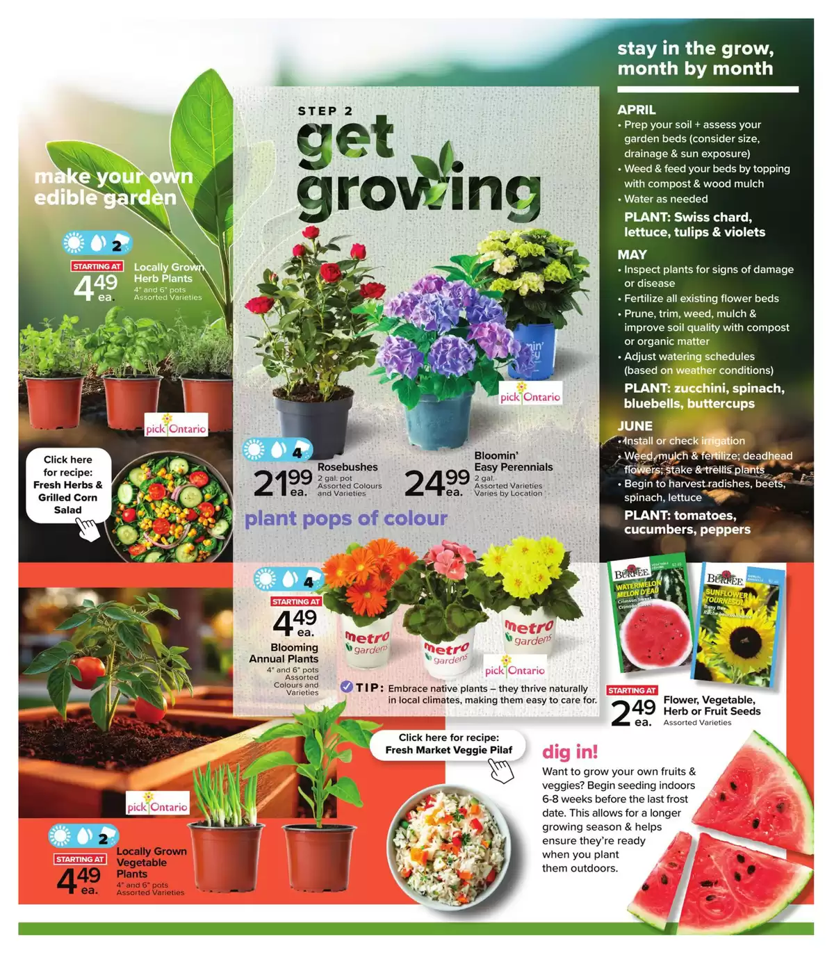 Ofertas de Supermercado Metro Canadá de 23 abril a 27 mayo 2026 Obtén ofertas de jardinería - Supermercado Metro - Canadá - 23 abril 2026 – 27 mayo 2026 - Página 3