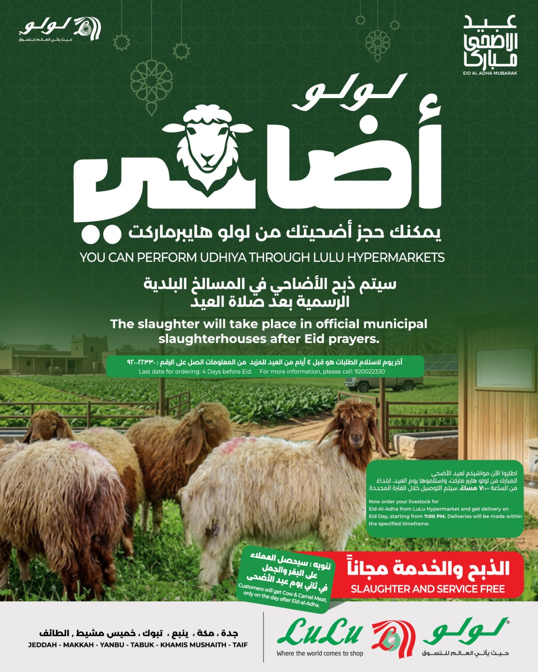 Offres Lulu Région Occidentale de 24 Dhuʻl-Qiʻdah à 3 Dhuʻl-Hijjah 1447 AH (11 au 20 mai 2026) Réservez vos offres de sacrifice - Page 1