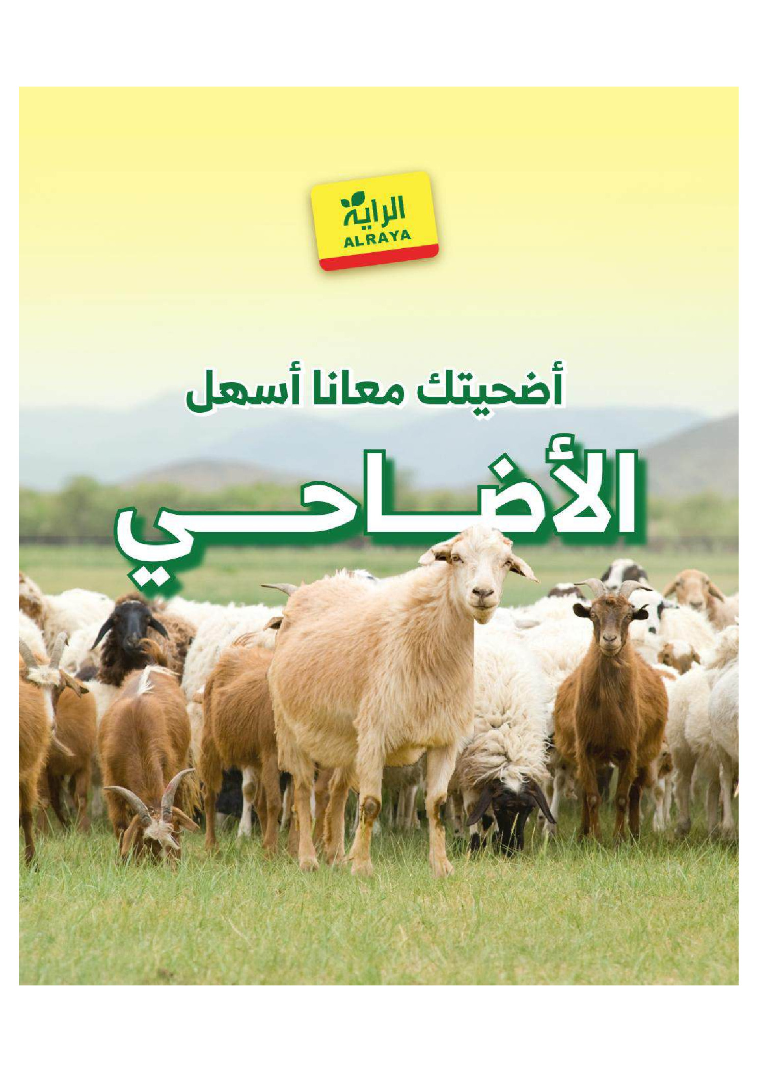 Al Rayah Market Saudi Arabia offers from 27 Dhuʻl-Qiʻdah to 3 Dhuʻl-Hijjah 1447 AH (14 – 20 May 2026) Book Your Sacrifice Deals - Page 1