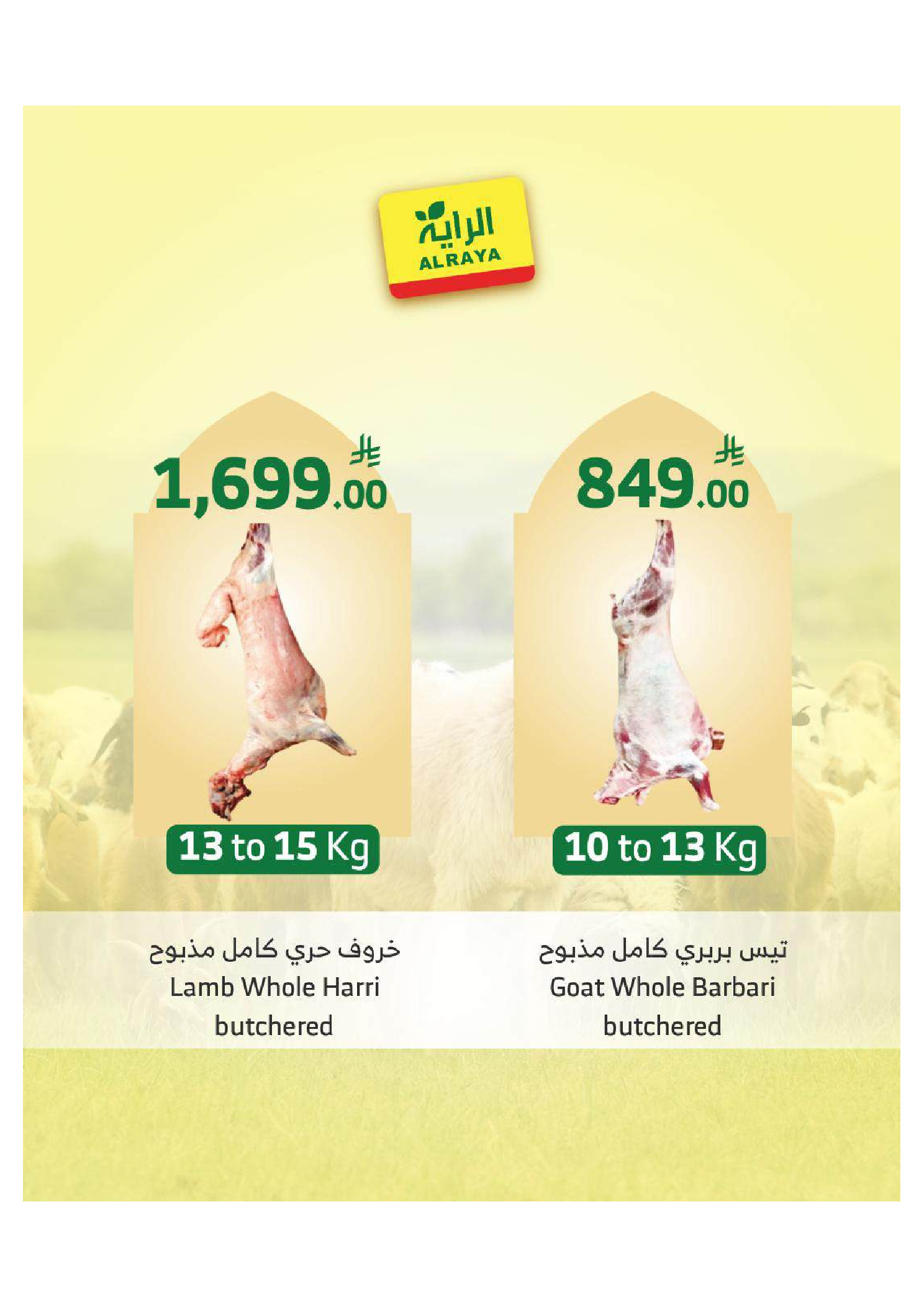 Ofertas de Mercado Al Rayah Arabia Saudita de 27 Dhuʻl-Qiʻdah a 3 Dhuʻl-Hijjah 1447 AH (14 – 20 mayo 2026) Reserva tus ofertas de sacrificio - Mercado Al Rayah - Arabia Saudita - 14 mayo 2026 – 20 mayo 2026 - Página 11
