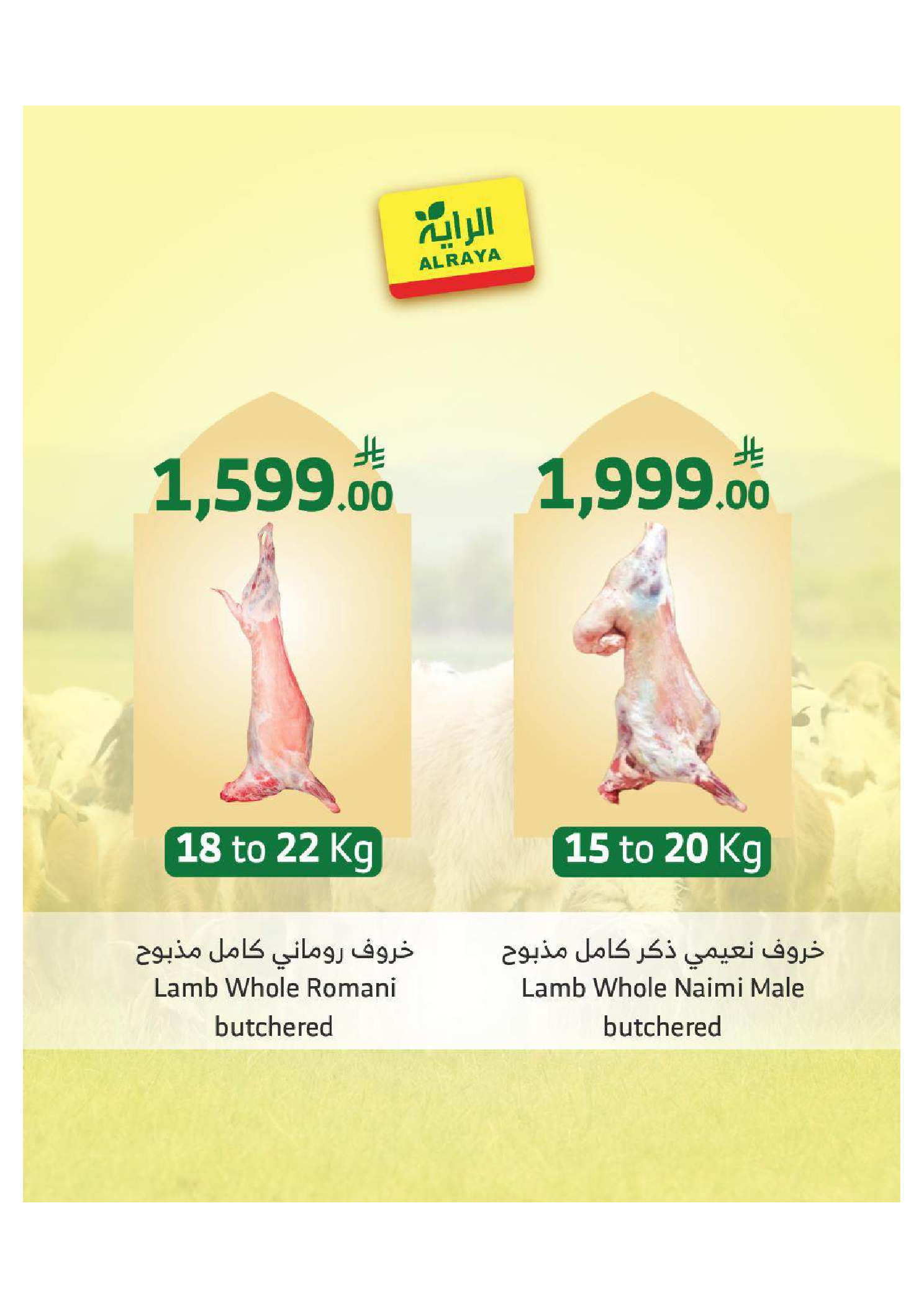 Ofertas de Mercado Al Rayah Arabia Saudita de 27 Dhuʻl-Qiʻdah a 3 Dhuʻl-Hijjah 1447 AH (14 – 20 mayo 2026) Reserva tus ofertas de sacrificio - Mercado Al Rayah - Arabia Saudita - 14 mayo 2026 – 20 mayo 2026 - Página 12