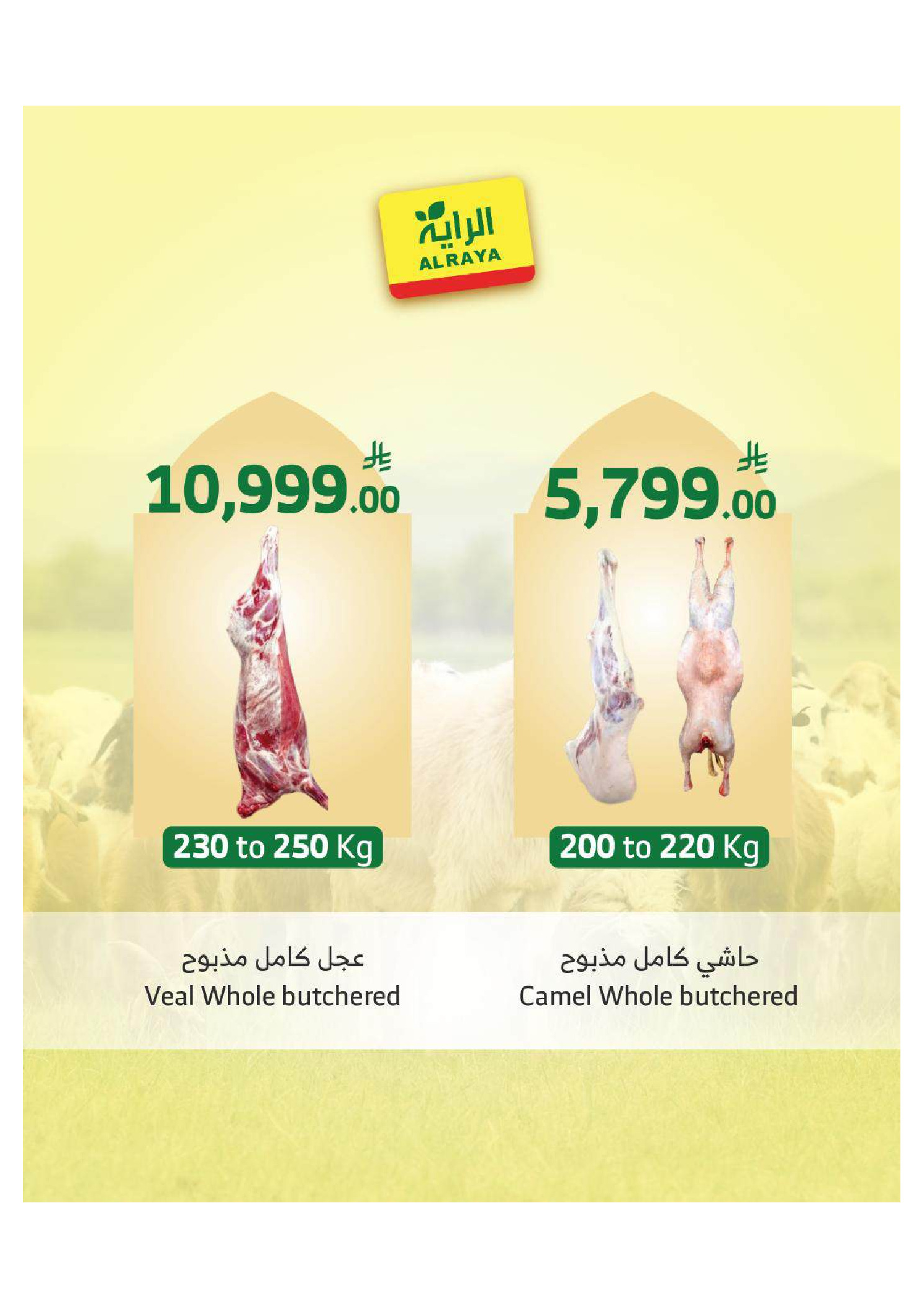 Ofertas de Mercado Al Rayah Arabia Saudita de 27 Dhuʻl-Qiʻdah a 3 Dhuʻl-Hijjah 1447 AH (14 – 20 mayo 2026) Reserva tus ofertas de sacrificio - Mercado Al Rayah - Arabia Saudita - 14 mayo 2026 – 20 mayo 2026 - Página 13