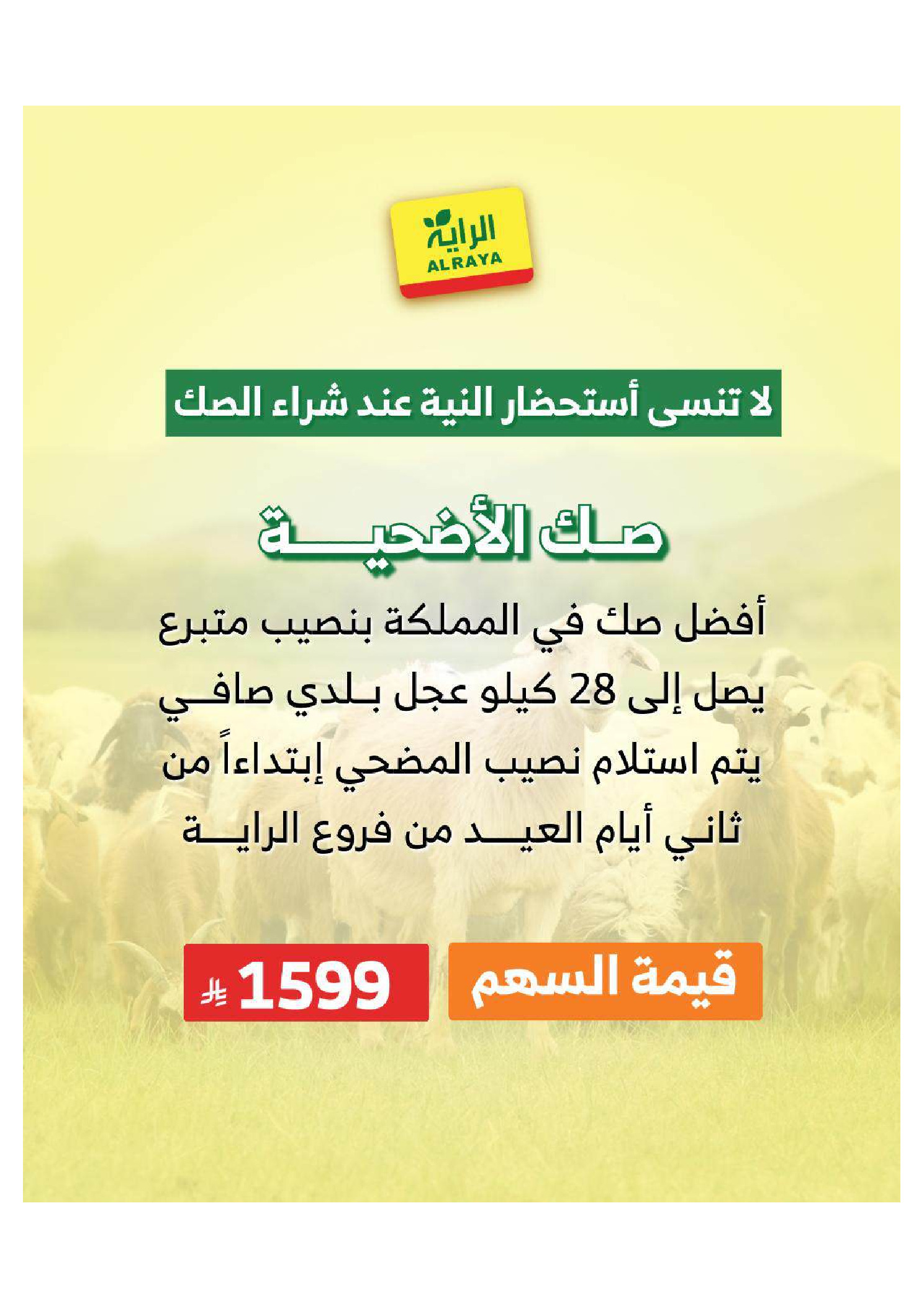 Ofertas de Mercado Al Rayah Arabia Saudita de 27 Dhuʻl-Qiʻdah a 3 Dhuʻl-Hijjah 1447 AH (14 – 20 mayo 2026) Reserva tus ofertas de sacrificio - Mercado Al Rayah - Arabia Saudita - 14 mayo 2026 – 20 mayo 2026 - Página 14