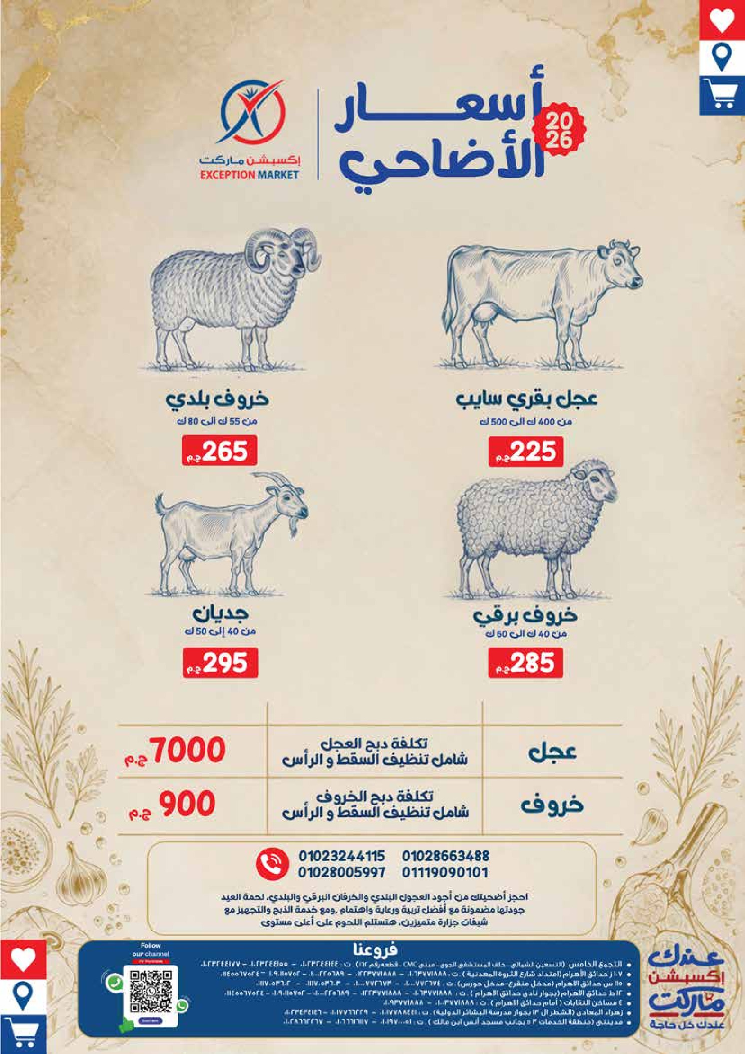 عروض إكسبشن ماركت من ١٨ حتى ٢٨ مايو ٢٠٢٦ عروض عيد أضحى مبارك - إكسبشن ماركت - مصر - 18 مايو 2026 – 28 مايو 2026 - صفحة 32