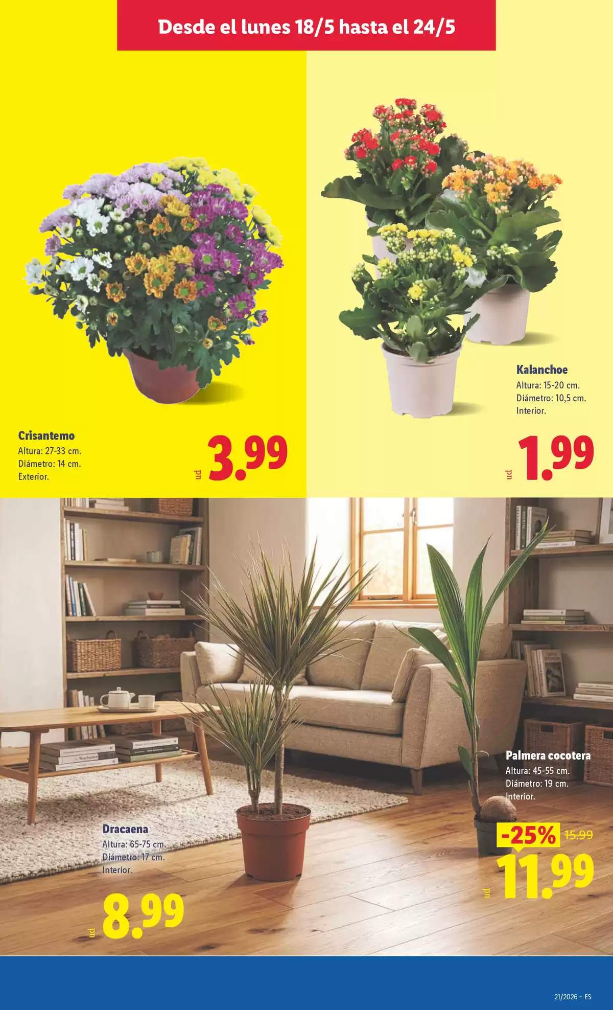 Offres Lidl Espagne de 18 à 24 mai 2026 Offres hebdomadaires - Lidl - Espagne - 18 mai 2026 – 24 mai 2026 - Page 49