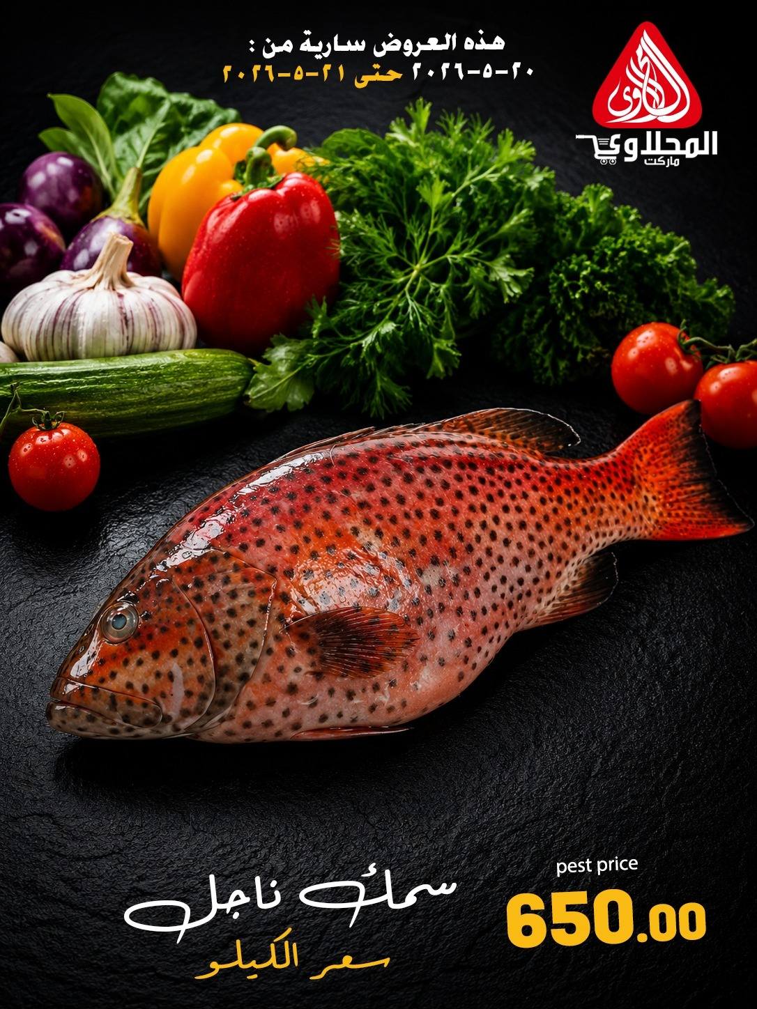 Offres Marché El Mahlawy de 20 à 21 mai 2026 Offres Fête du Poisson - Marché El Mahlawy - Egypte - 20 mai 2026 – 21 mai 2026 - Page 12