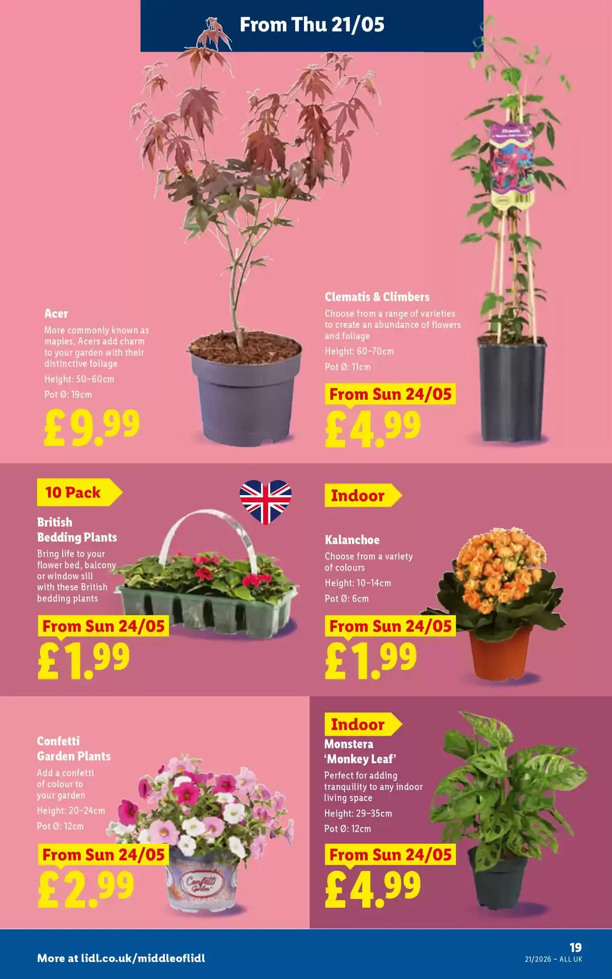 Lidl United Kingdom offers from 21 to 27 May 2026 Weekly offers - Lidl - United Kingdom - 21 May 2026 – 27 May 2026 - Page 23