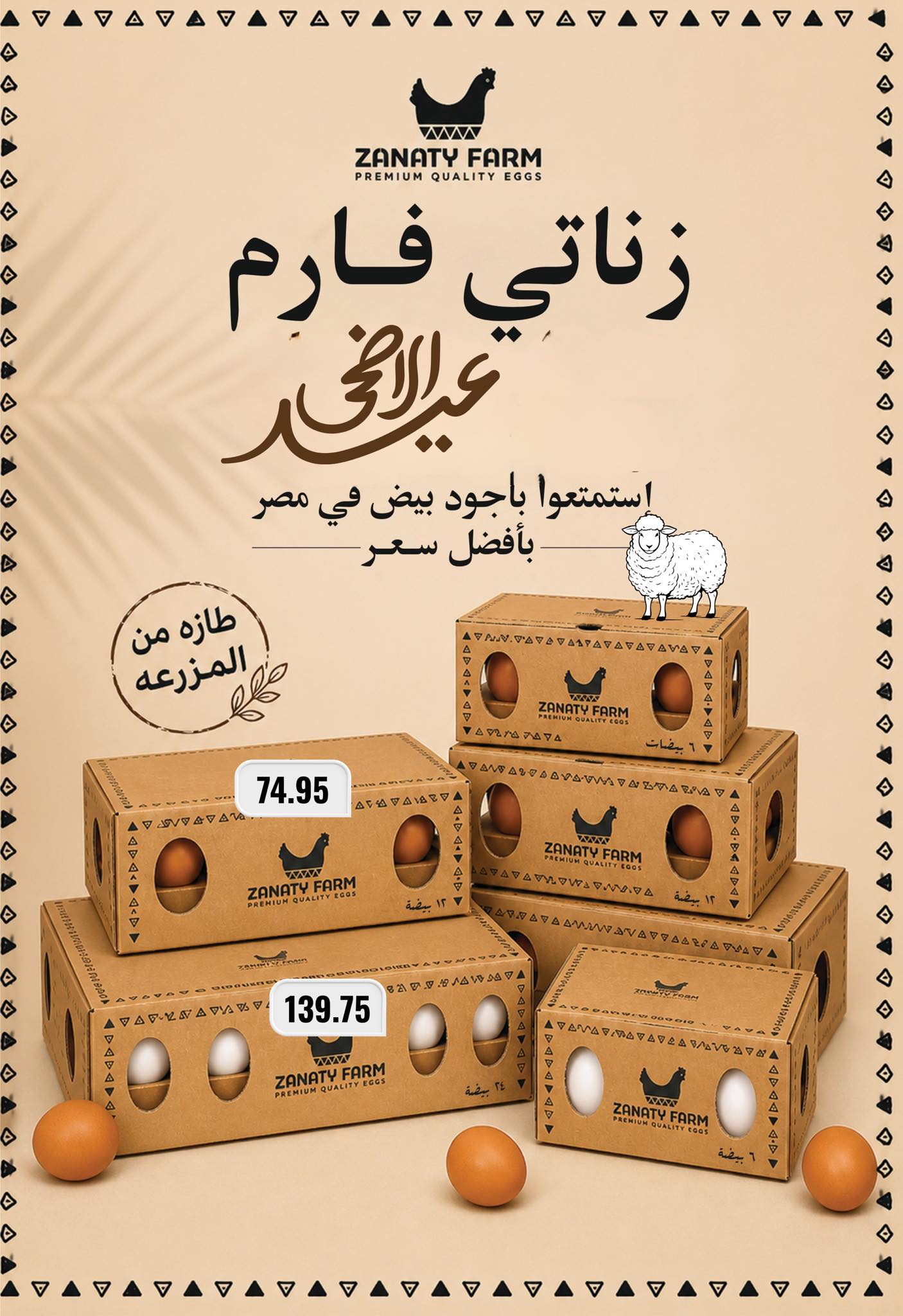 عروض نجمة هليوبوليس مصر من ٢٢ مايو حتى ٥ يونيو ٢٠٢٦ عروض عيد الأضحى - نجمة هليوبوليس - مصر - 22 مايو 2026 – 5 يونيو 2026 - صفحة 14