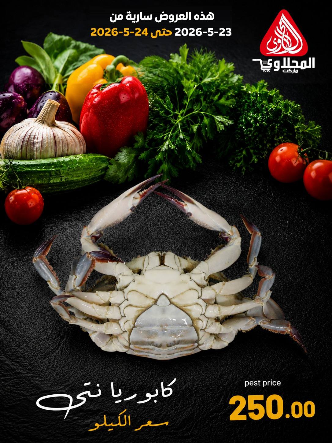 Offres Marché El Mahlawy de 23 à 24 mai 2026 Offres Fête du Poisson - Marché El Mahlawy - Egypte - 23 mai 2026 – 24 mai 2026 - Page 10