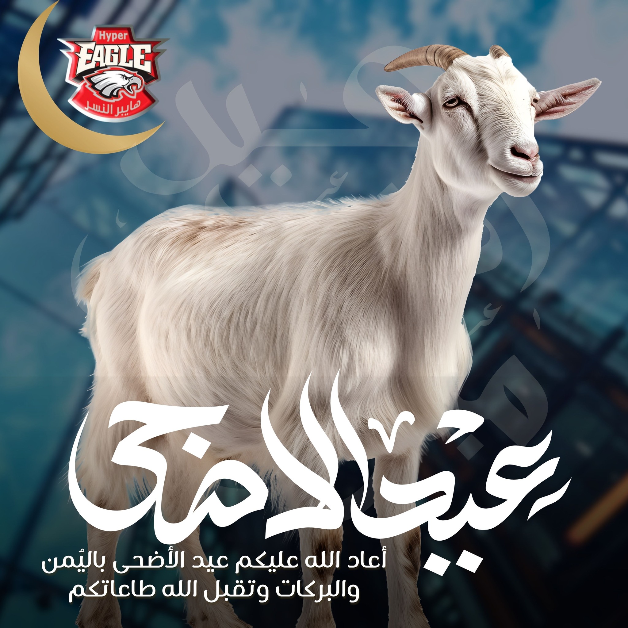 Hyper Al Nisr Egypt offers from 25 to 30 May 2026 Eid Al Adha offers - Page 1