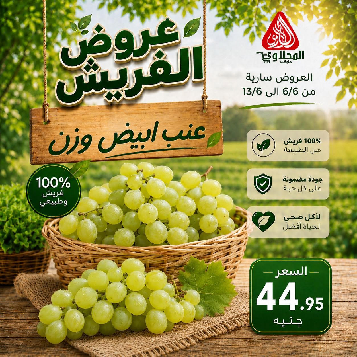 عروض المحلاوى ماركت من ٦ حتى ١٣ يونيو ٢٠٢٦ عروض الفريش - المحلاوى ماركت - مصر - 6 يونيو 2026 – 13 يونيو 2026 - صفحة 11
