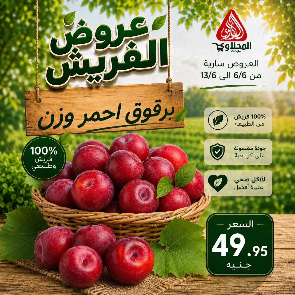 عروض المحلاوى ماركت من ٦ حتى ١٣ يونيو ٢٠٢٦ عروض الفريش - المحلاوى ماركت - مصر - 6 يونيو 2026 – 13 يونيو 2026 - صفحة 9