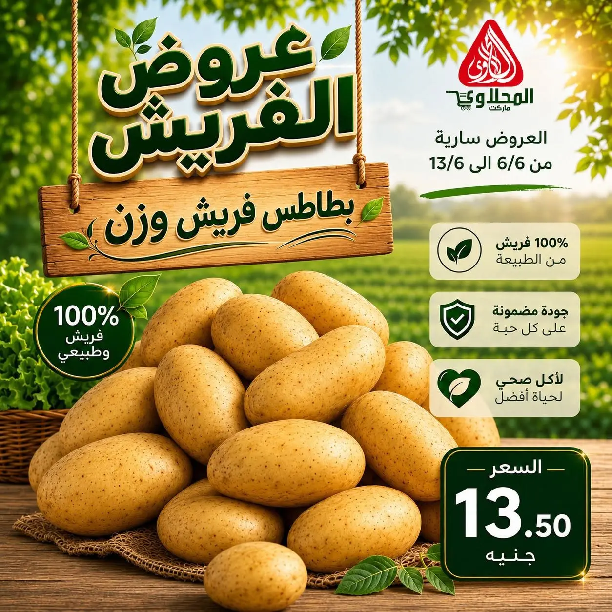 عروض المحلاوى ماركت من ٦ حتى ١٣ يونيو ٢٠٢٦ عروض الفريش - المحلاوى ماركت - مصر - 6 يونيو 2026 – 13 يونيو 2026 - صفحة 12