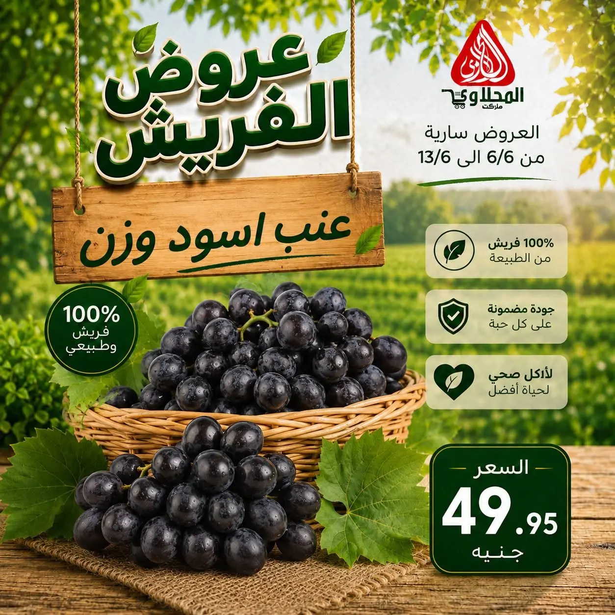عروض المحلاوى ماركت من ٦ حتى ١٣ يونيو ٢٠٢٦ عروض الفريش - المحلاوى ماركت - مصر - 6 يونيو 2026 – 13 يونيو 2026 - صفحة 14