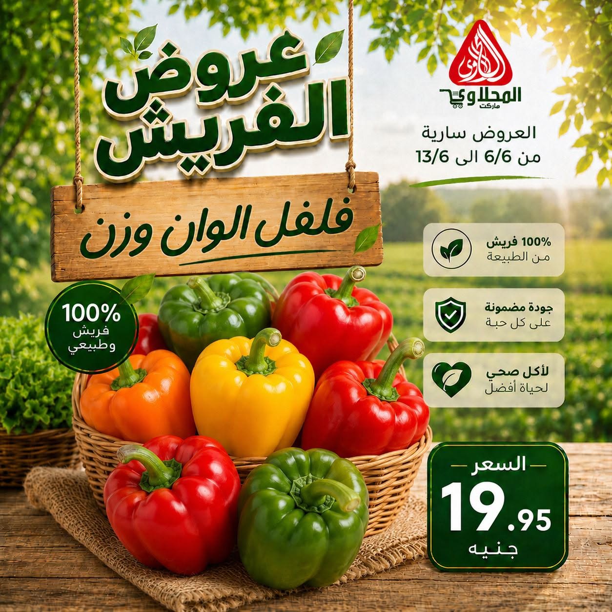 عروض المحلاوى ماركت من ٦ حتى ١٣ يونيو ٢٠٢٦ عروض الفريش - المحلاوى ماركت - مصر - 6 يونيو 2026 – 13 يونيو 2026 - صفحة 15