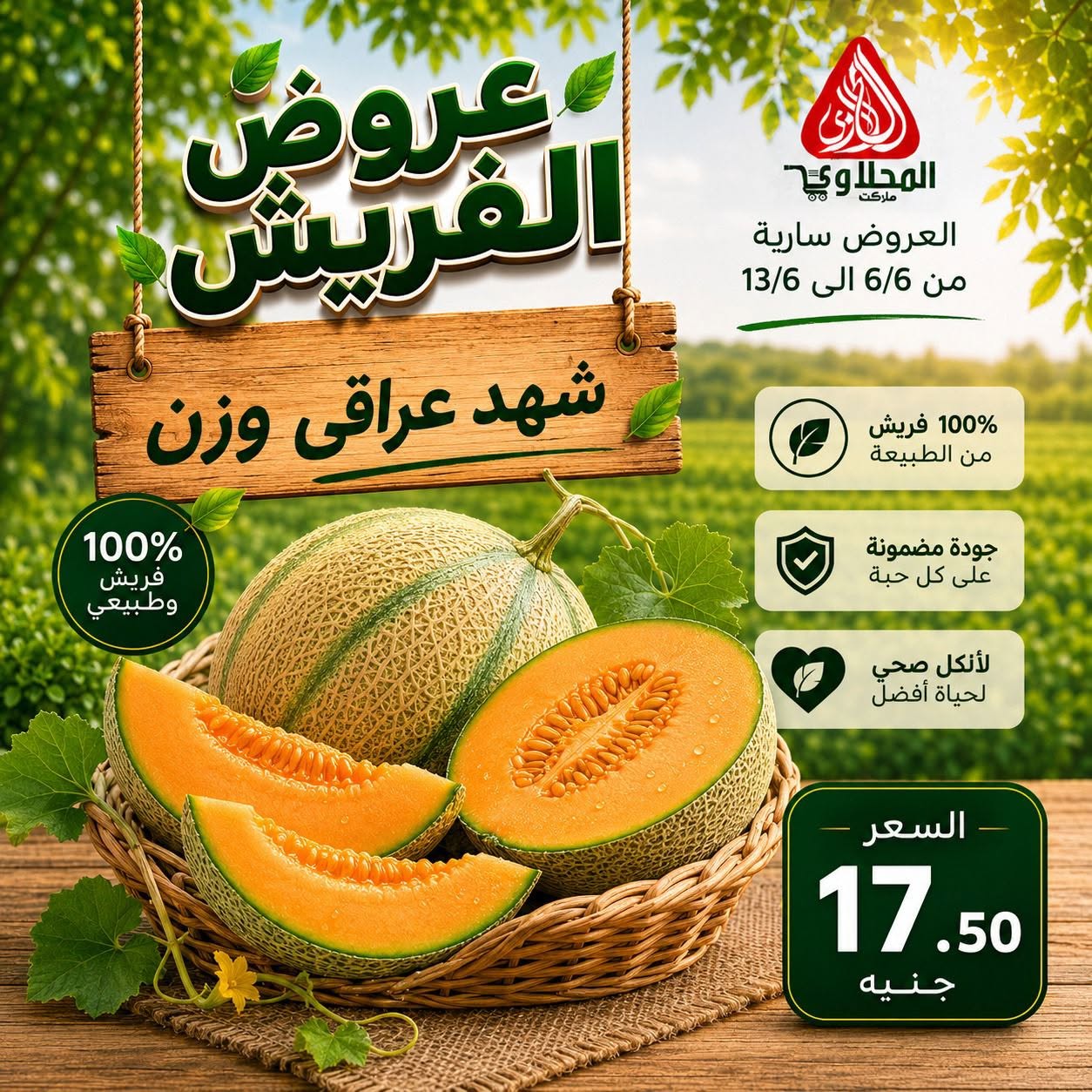 عروض المحلاوى ماركت من ٦ حتى ١٣ يونيو ٢٠٢٦ عروض الفريش - المحلاوى ماركت - مصر - 6 يونيو 2026 – 13 يونيو 2026 - صفحة 5