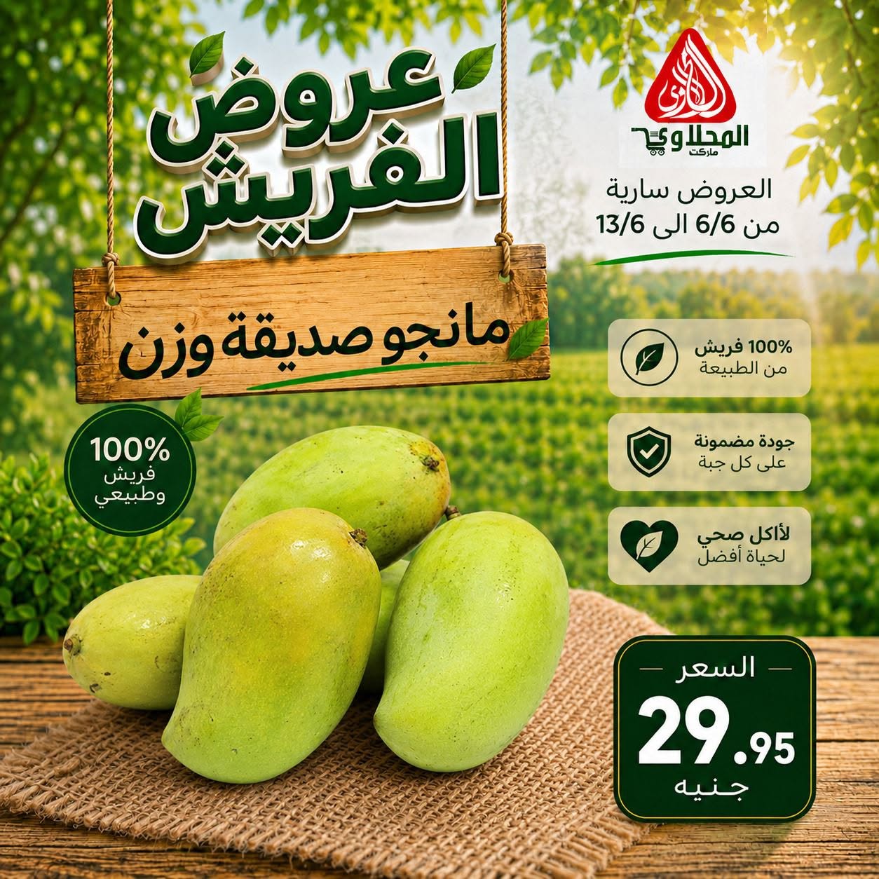 عروض المحلاوى ماركت من ٦ حتى ١٣ يونيو ٢٠٢٦ عروض الفريش - المحلاوى ماركت - مصر - 6 يونيو 2026 – 13 يونيو 2026 - صفحة 6