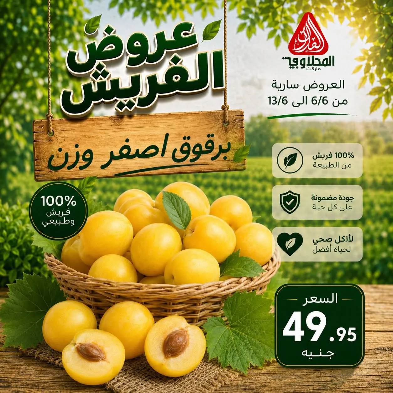 عروض المحلاوى ماركت من ٦ حتى ١٣ يونيو ٢٠٢٦ عروض الفريش - المحلاوى ماركت - مصر - 6 يونيو 2026 – 13 يونيو 2026 - صفحة 4
