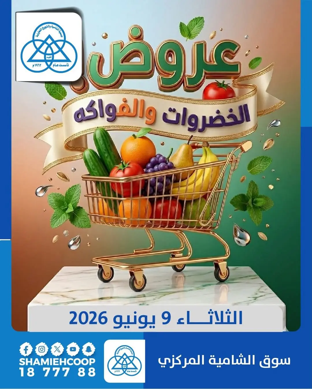 Offres Coop Shamieh seulement mardi 9 juin 2026 Offres de fruits et légumes - Page 1