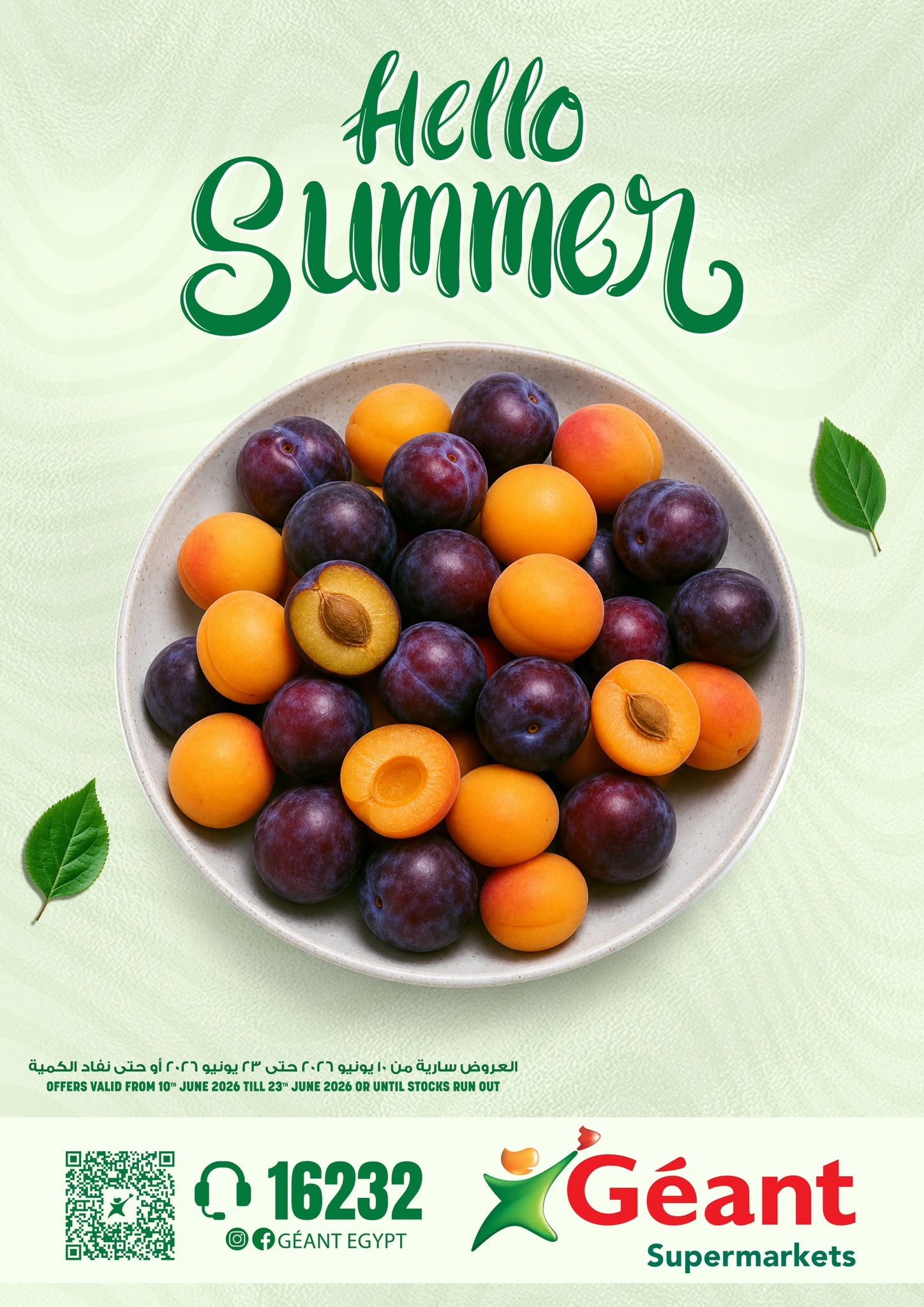 Geant Egypt offers from 10 to 23 June 2026 Hello summer - Page 1