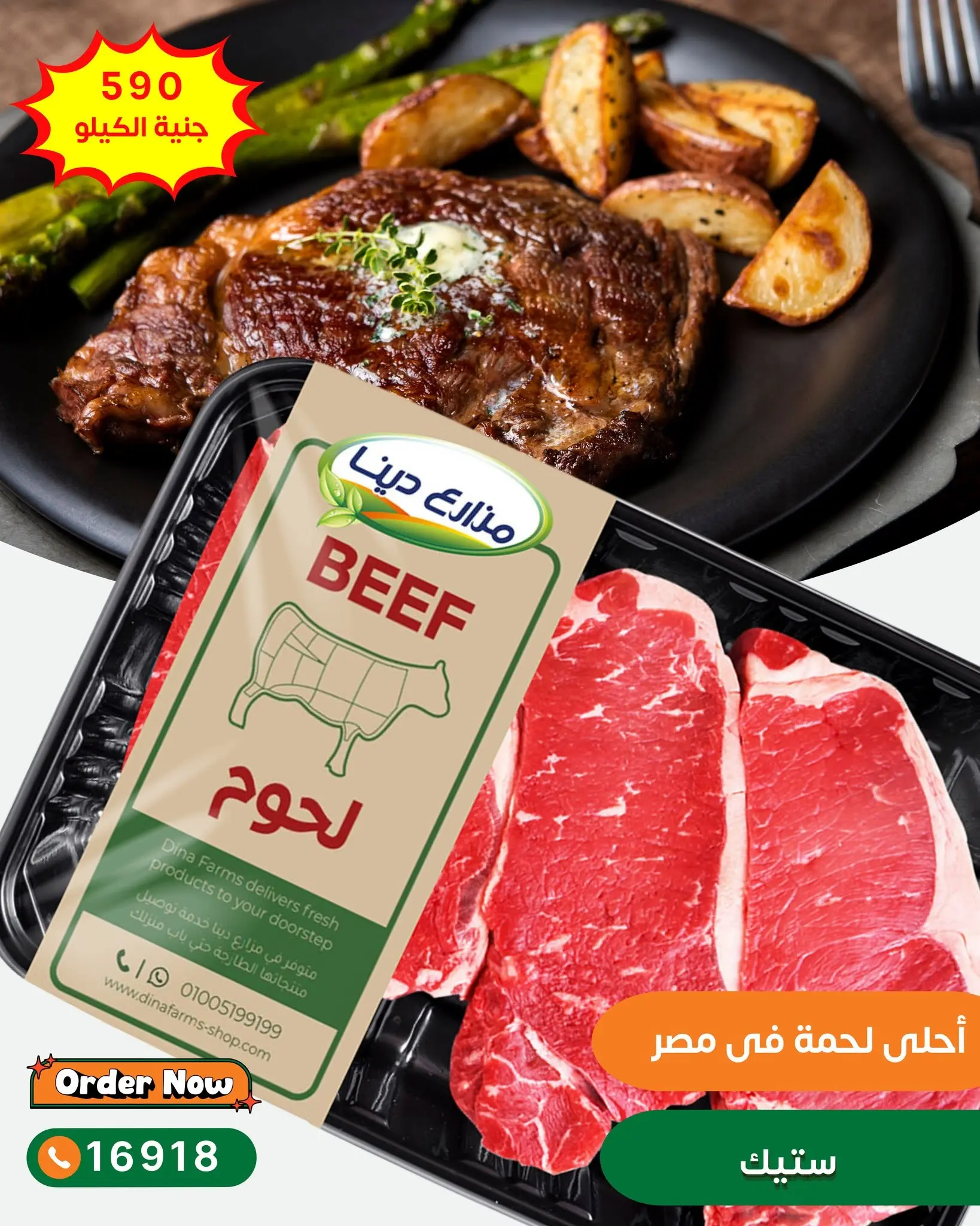 Offres Fermes Dina de 13 à 19 juin 2026 Offres de viande - Fermes Dina - Egypte - 13 juin 2026 – 19 juin 2026 - Page 13